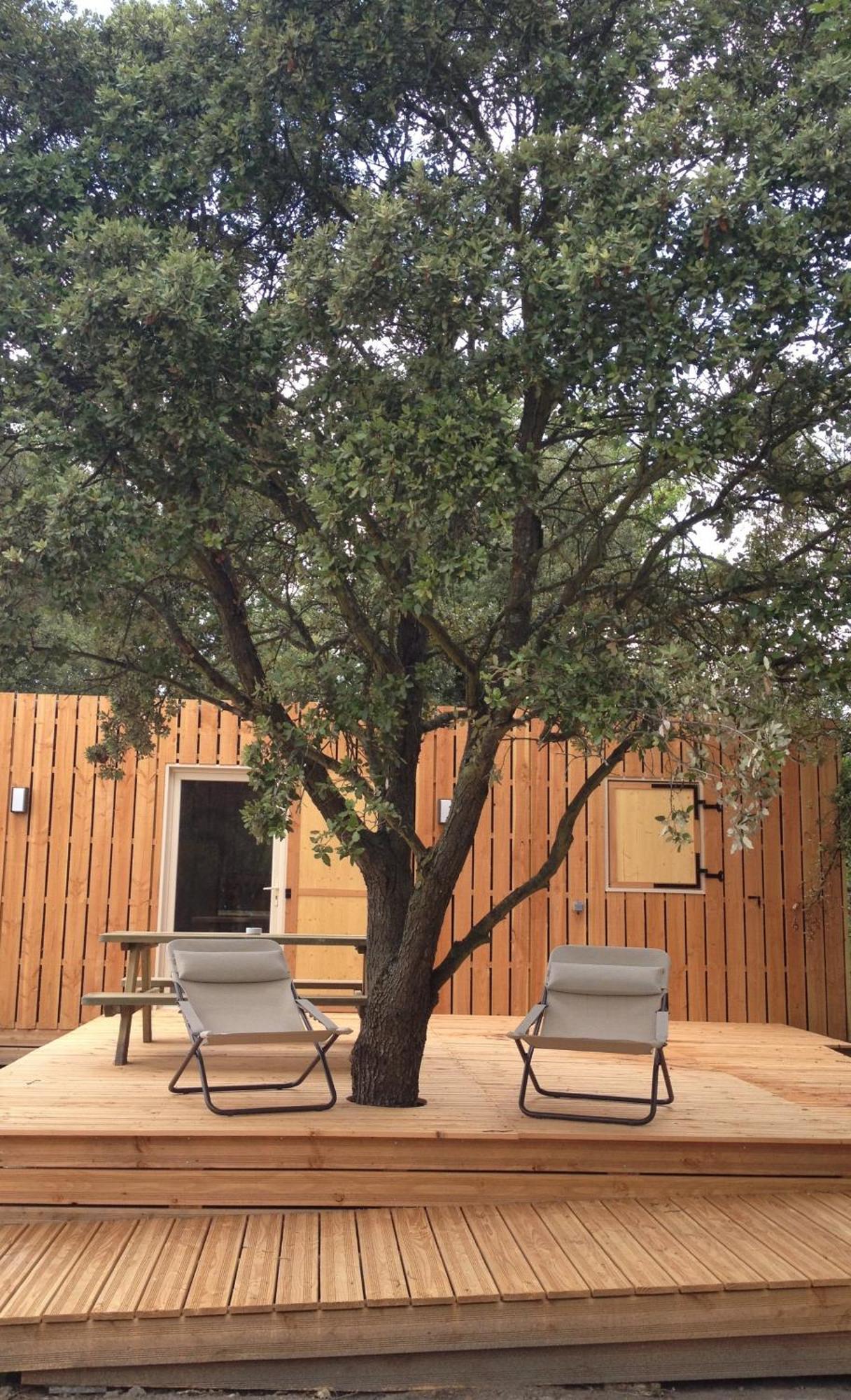 Lodges En Provence - Ecogites & Restaurant Insolites Richerenches Cameră foto
